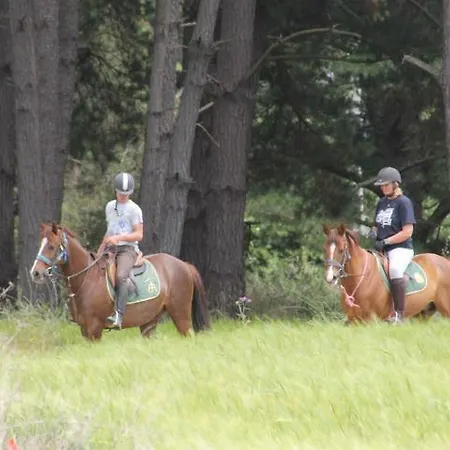 Residential Horse Club Costa Brava Santa Cristina d'Aro