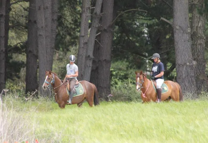 Residential Horse Club Costa Brava سانتا كريستينا دارو